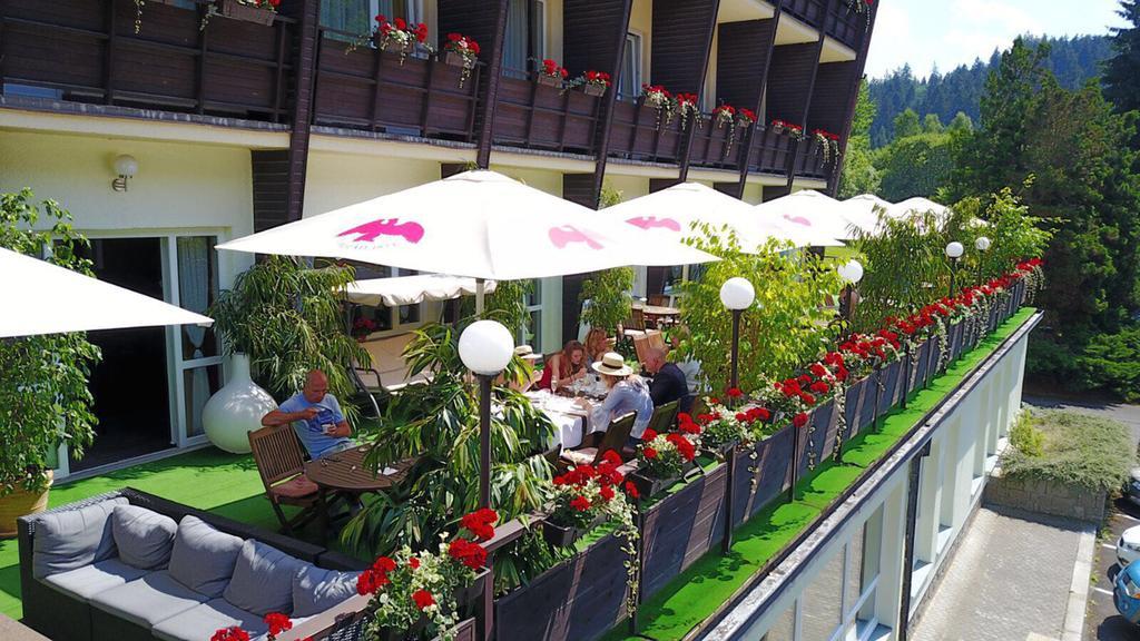 Wellness Hotel Green Paradise Pirkenhammer Kültér fotó